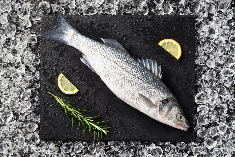 Sea Bass