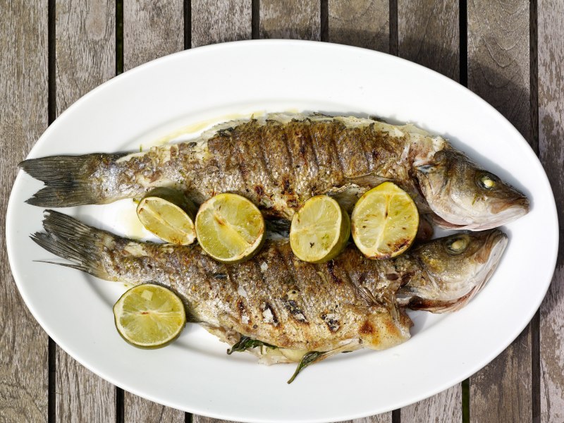 Sea Bass рыба