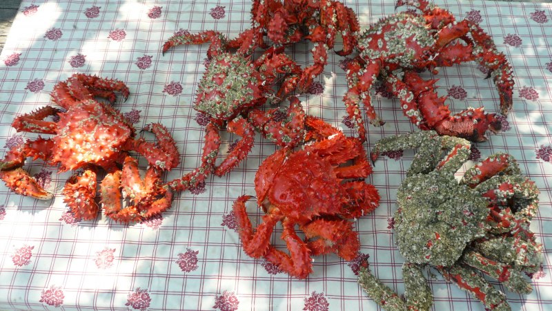 Ловля краба на Сахалине