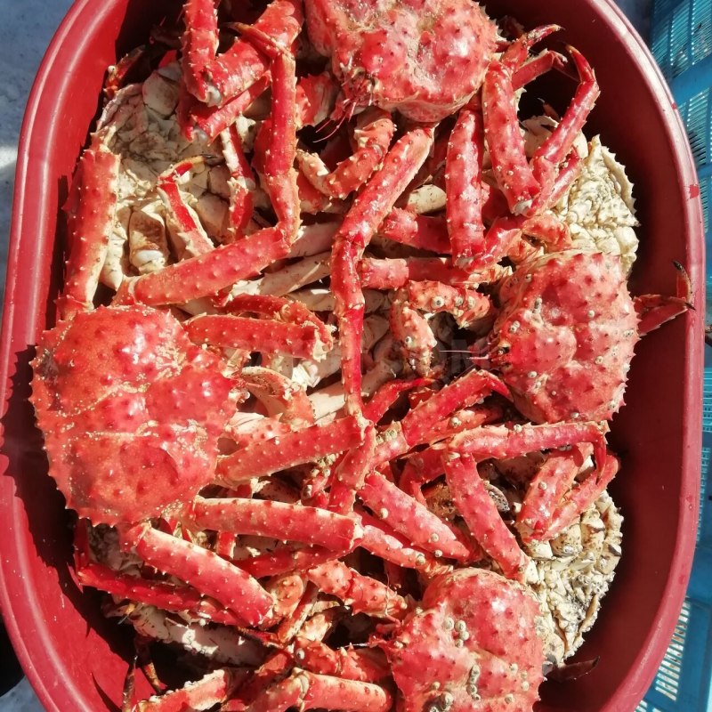 Южно Сахалинск Крабы