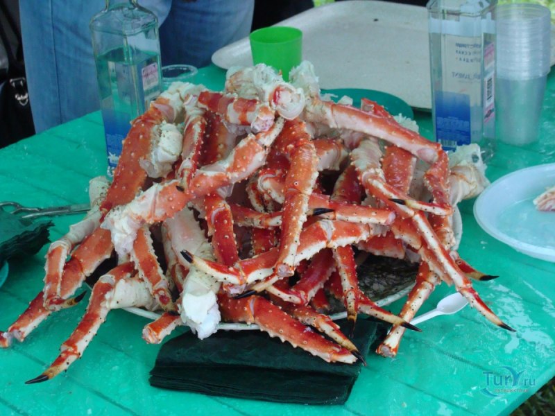 Камчатский краб Сахалин