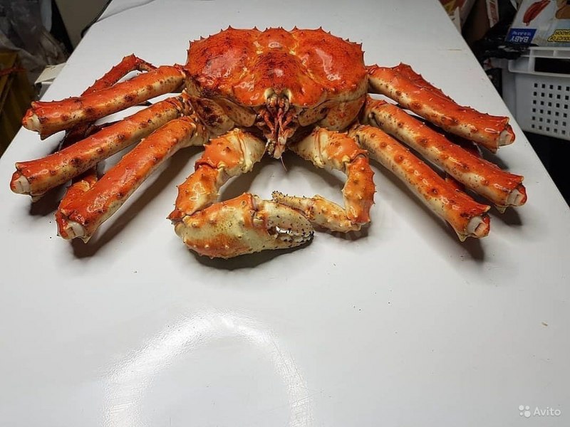 Морские деликатесы Сахалина
