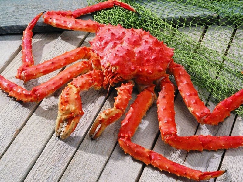 Крабы Охотского моря