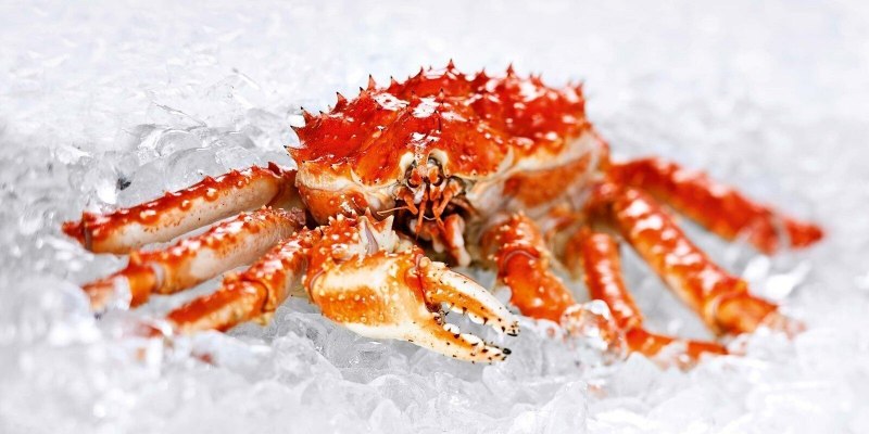 Краб из Баренцева моря