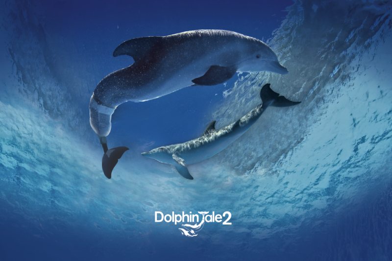 Дельфин Уинтер