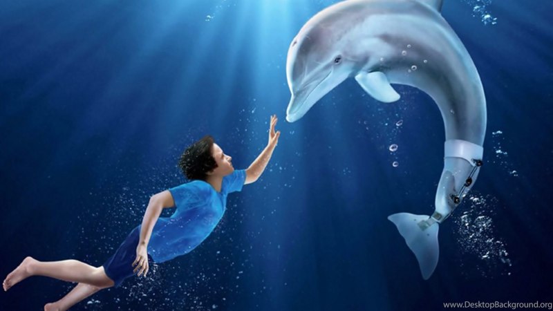 Фильм про дельфина Винтер