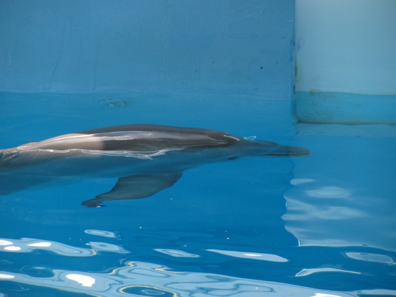 Знакомьтесь с Винтер.com