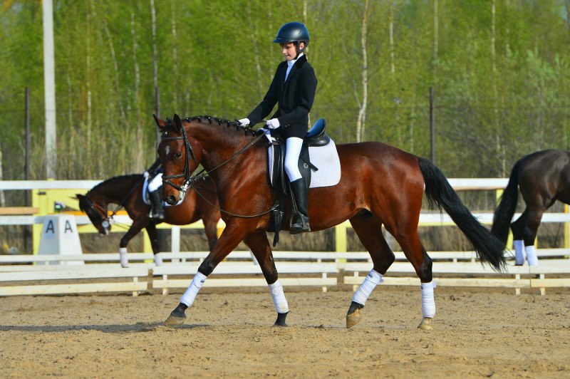 Конный клуб гнедой