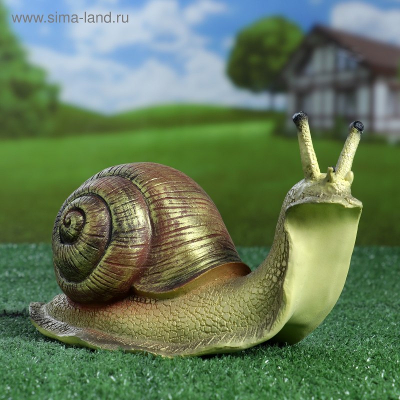 Брюхоногие полосатая улитка