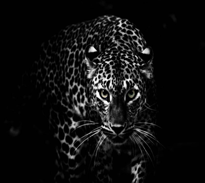 Кëрби Розанес