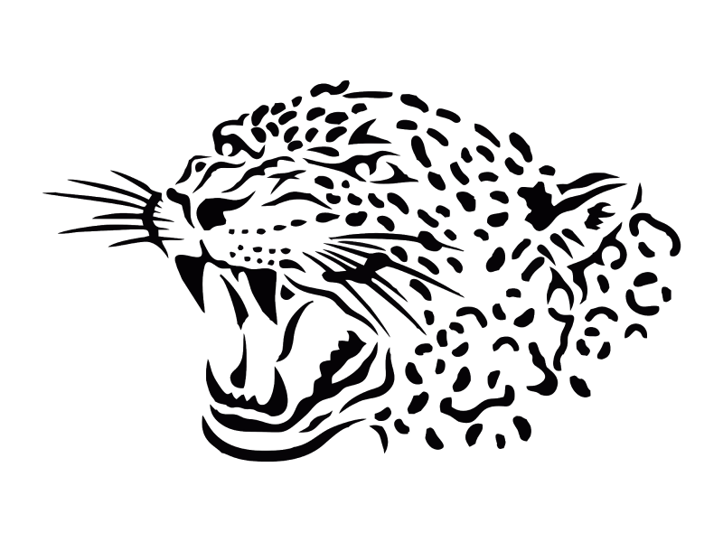 Переднеазиатский леопард раскраска