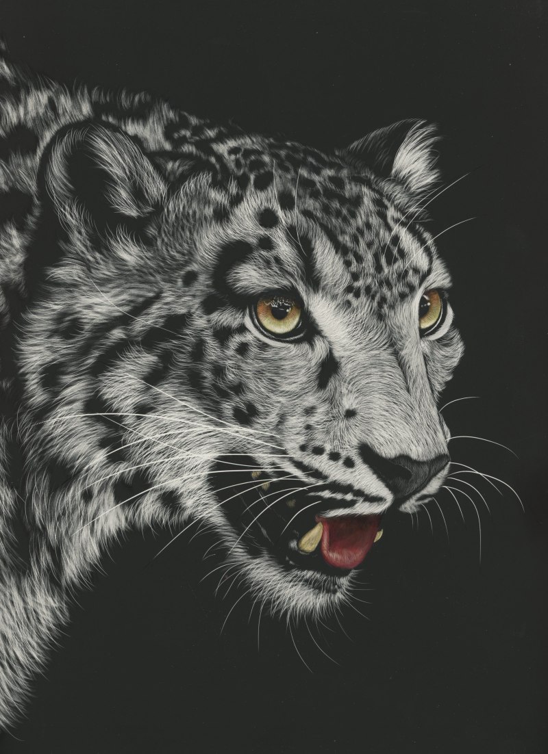 Снежный Барс Ирбис чб