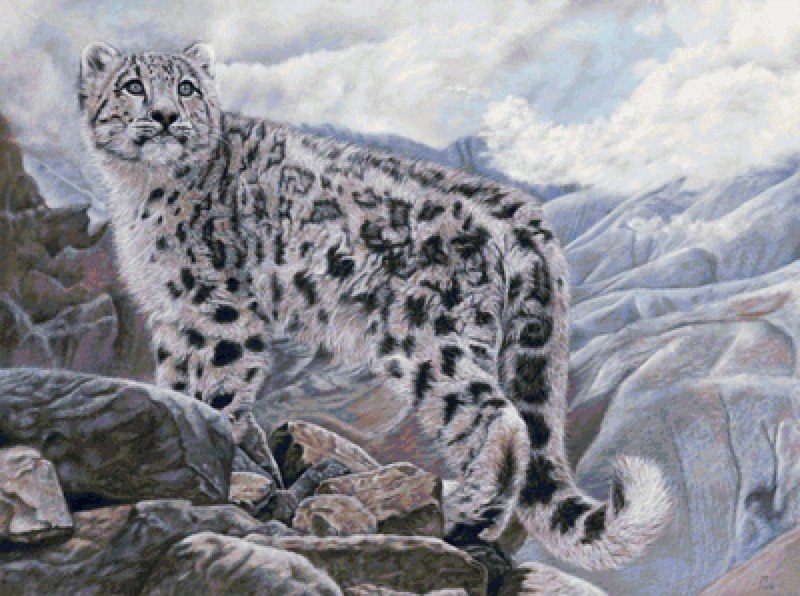 - Снежный Барс (Panthera uncia