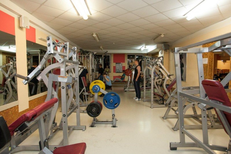 Альбатрос в Арктике