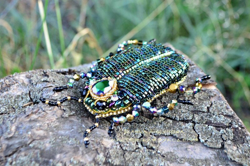 Жуки скарабеи Майский Жук