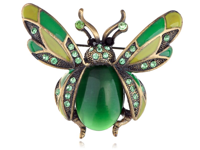 Жук золотистая бронзовка