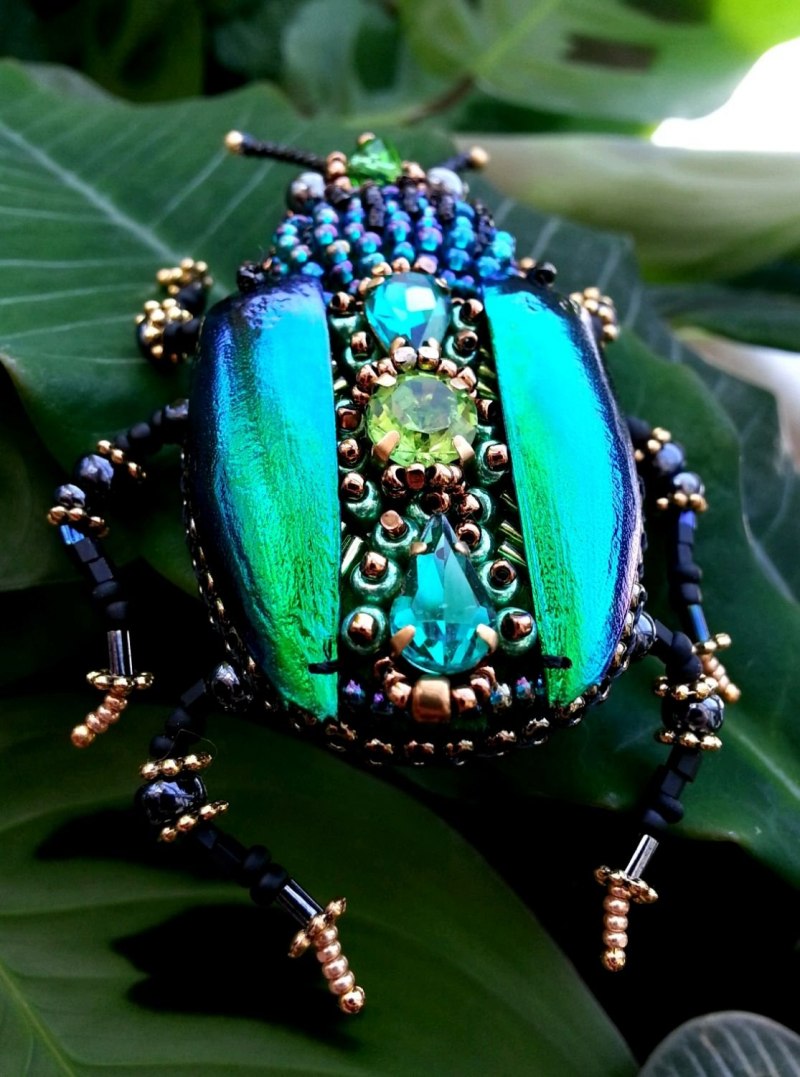 Жуки скарабеи Майский Жук