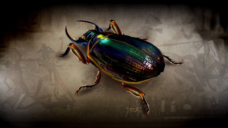 Жук скарабей расправил Крылья