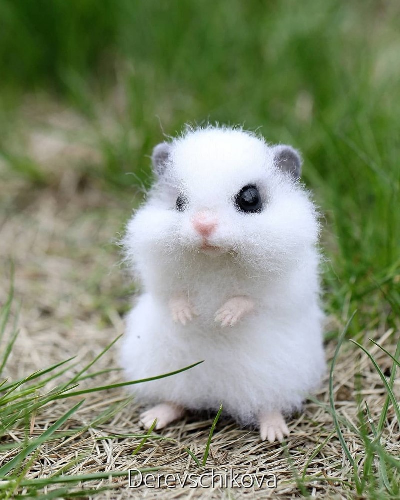 Мышь под одеялом