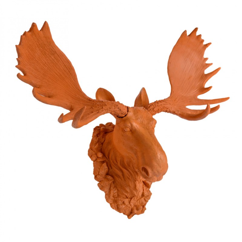 Лось карточка для детей