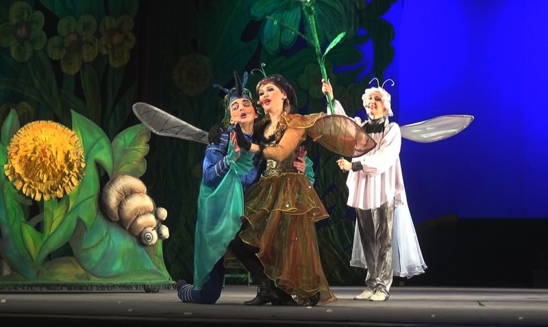 Школа 25 Абакан Муха Цокотуха