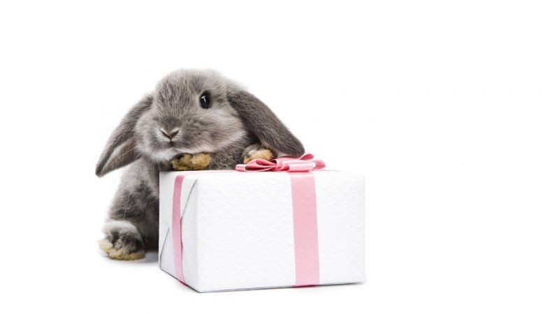 Подарок на белом фоне