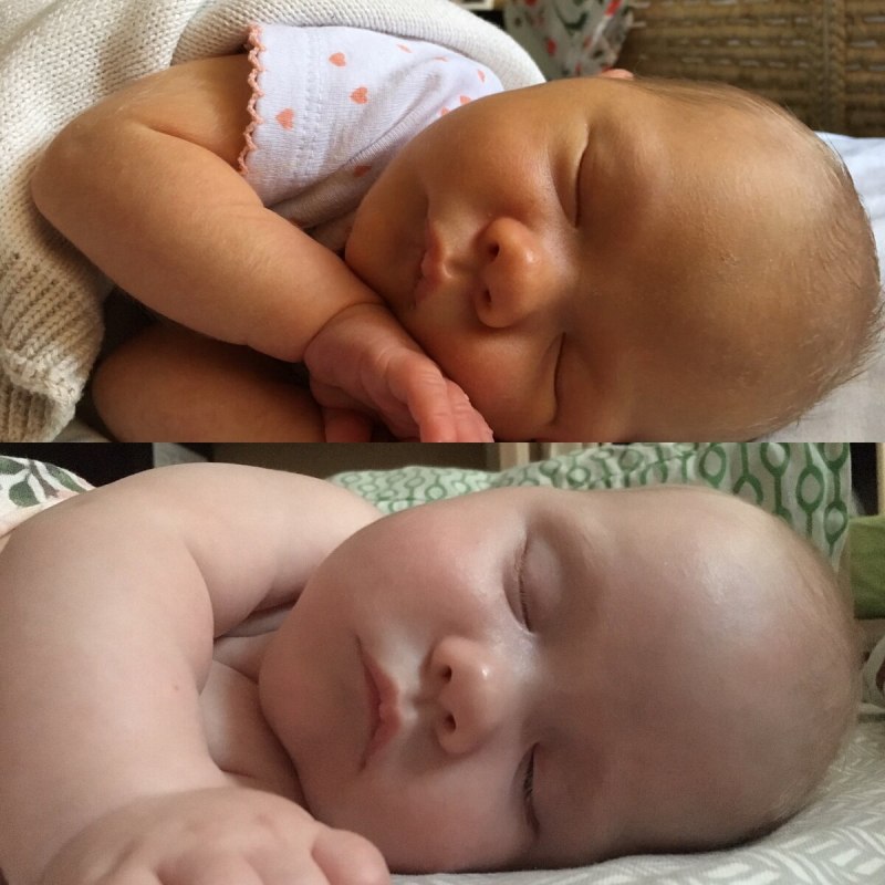 Красивые насекомые