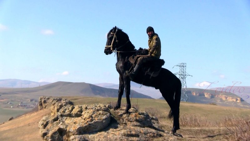 Горы Кавказа Чечня лошади