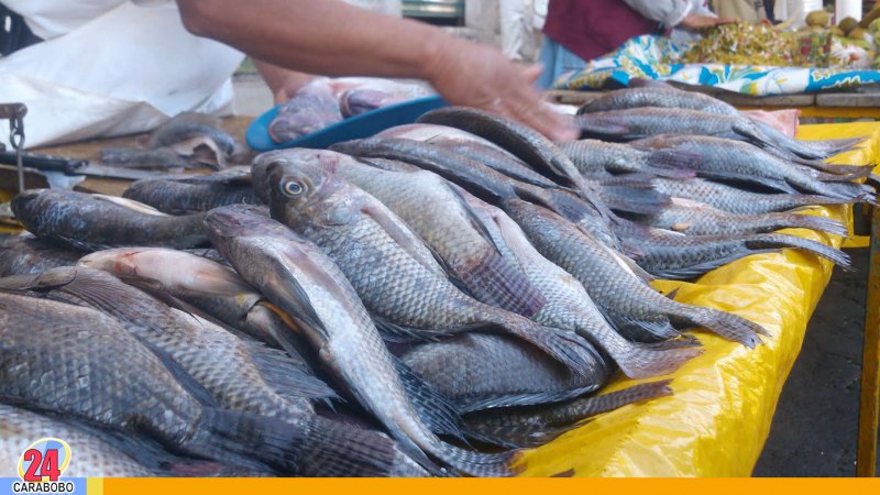 Карп Зандер