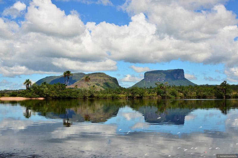 Channel Catfish рыба