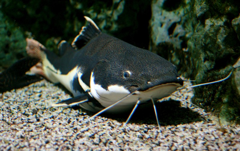 Венесуэла Каракас улицы