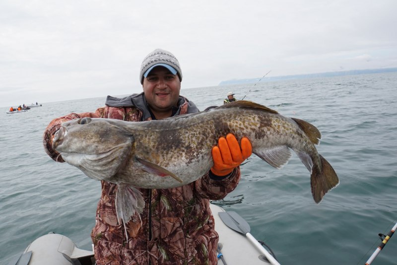 Пестроногий подкаменщик