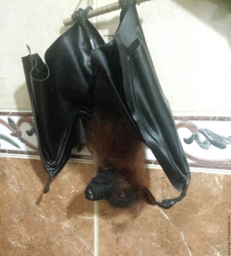 Гигантская Золотая летучая лисица