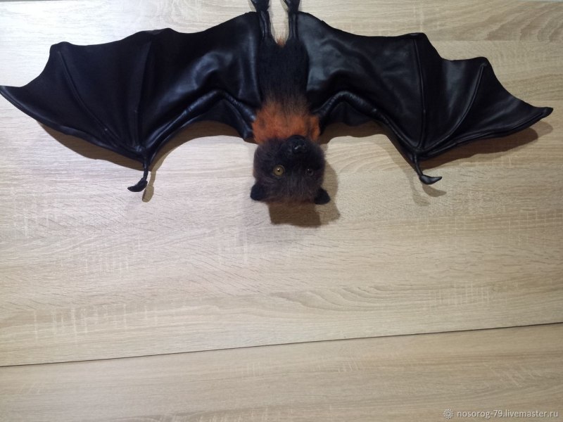 Коронованная летучая лисица летучая