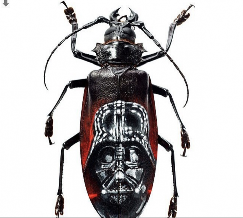 Titanus латынь