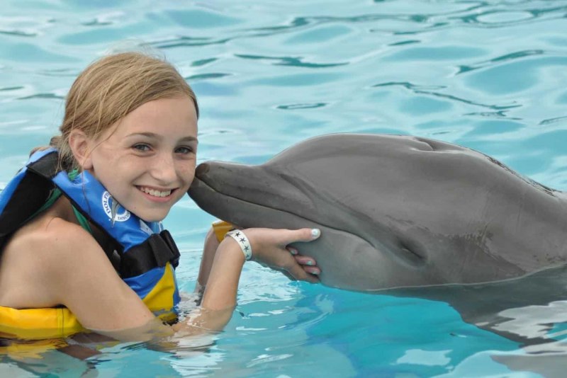 Жёлтая длиннорылая рыба-бабочка