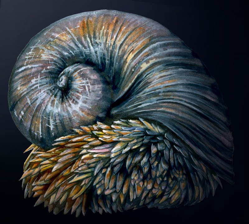 Робот улитка