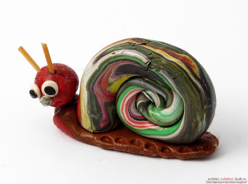 Улитка Priotrohatella stellata