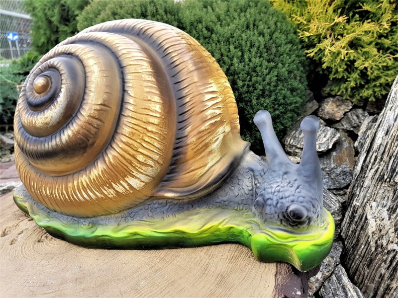 Craspedotropis gretathunbergae