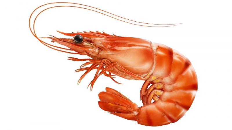 Креветки черри размер