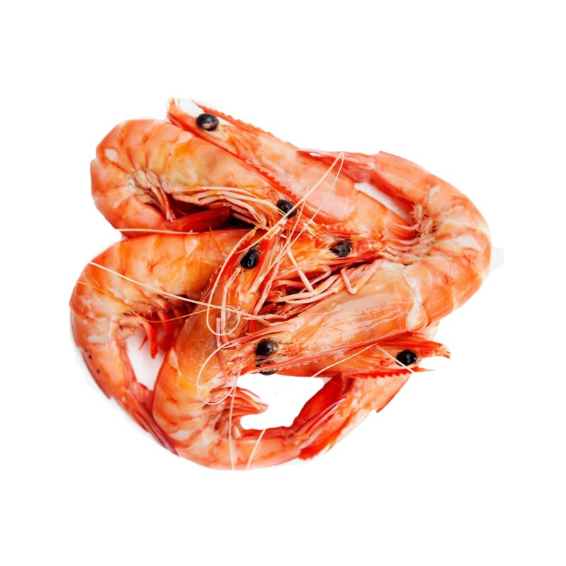 Креветка Амано (Caridina multidentata)