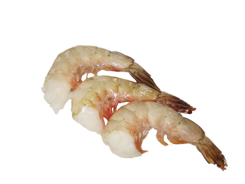 Креветки холодноводные