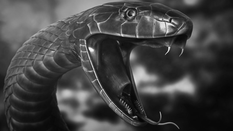 «Зелёная гадюка (мамба)»