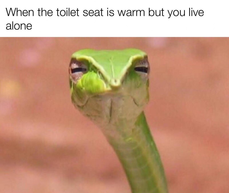 Змея прищурилась