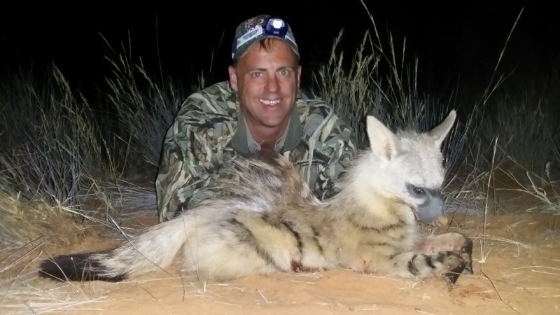 Пятнистая гиена