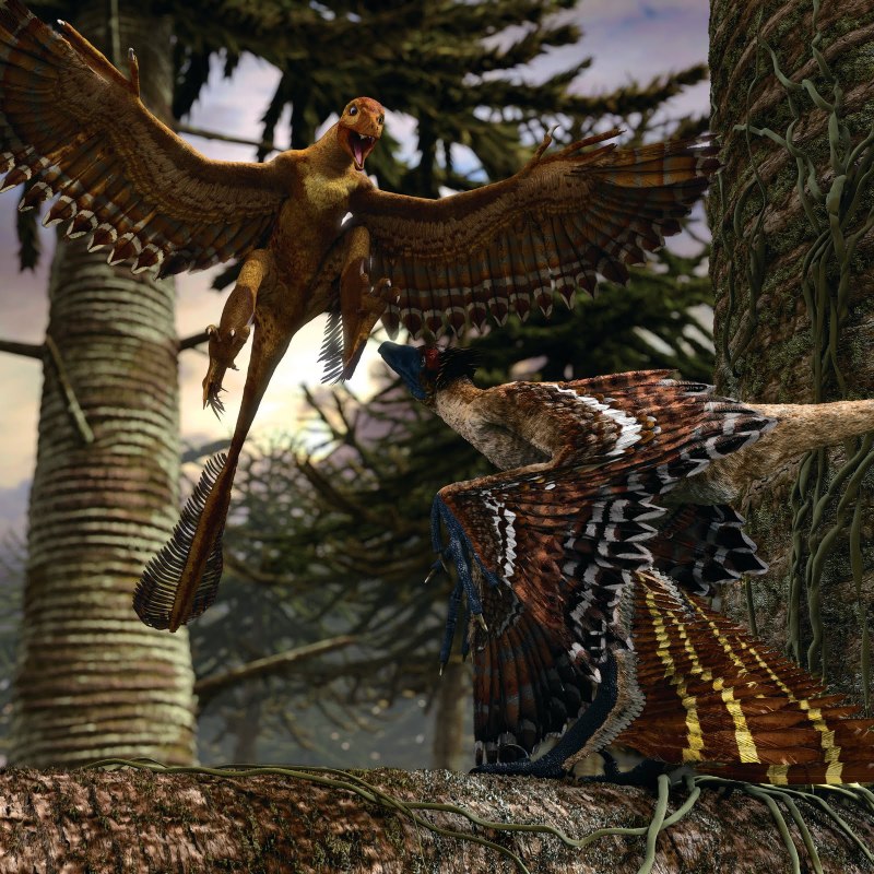 Микрораптор Планета динозавров