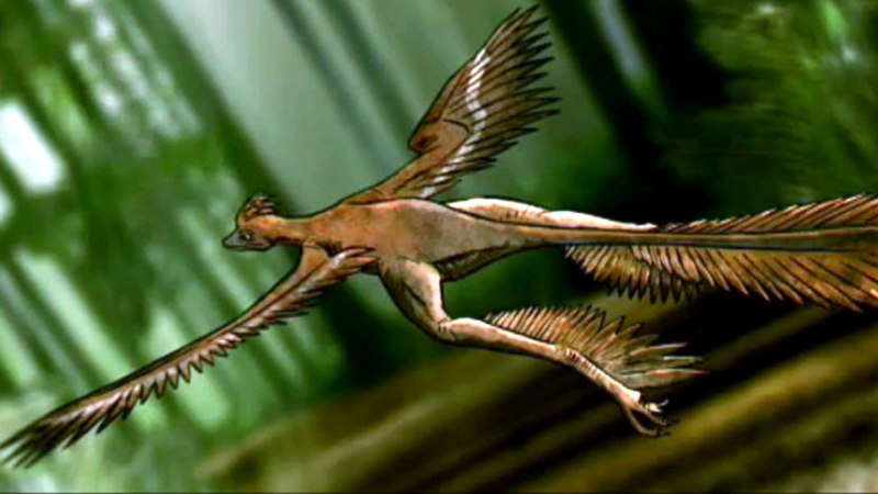 Микрораптор доисторический парк