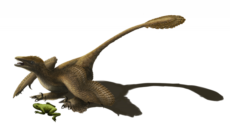 Фигурка Safari Ltd Микрораптор 304129