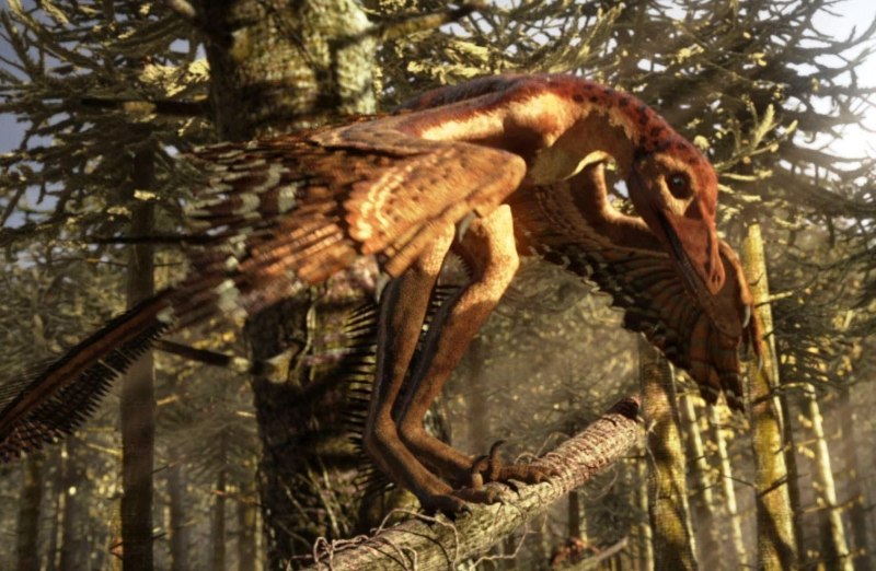 Синорнитозавр динозавр