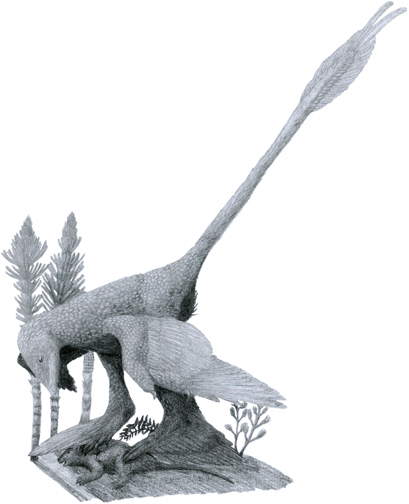 Самый маленький динозавр Микрораптор